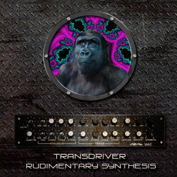 Transdriver - Rizograff