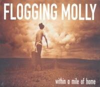 Flogging Molly - The Wrong Company