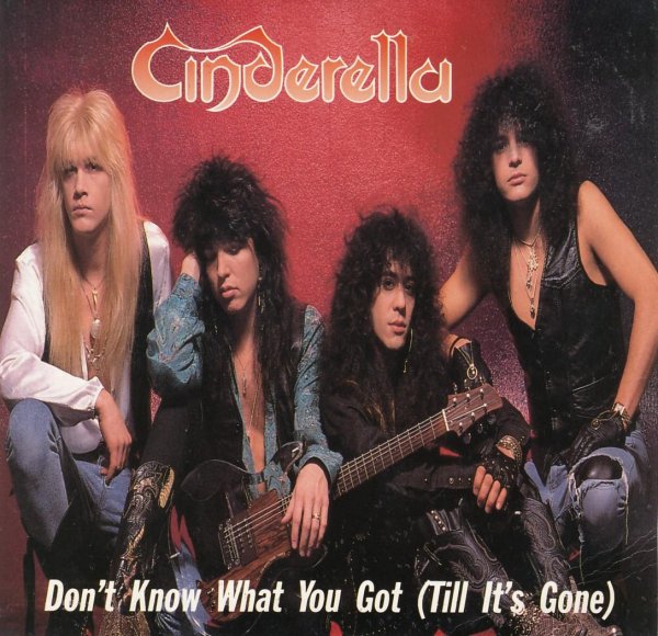 CINDERELLA - dont know what you got till