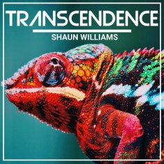 Shaun Williams - Momento