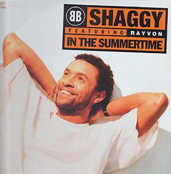 Shaggy&Rayvon - In the summertime