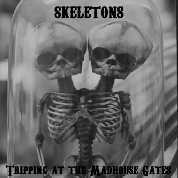 Skeletons - Blood Medicine