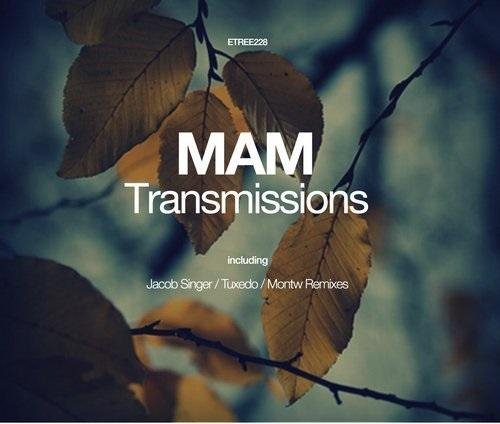 MAM - Transmissions