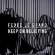 Fedde le Grand - Keep on Believing [Radio Edit]