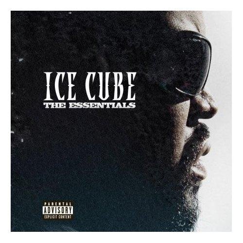 Ice Cube - What Can I Do