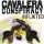 Cavalera Conspiracy - Inflikted