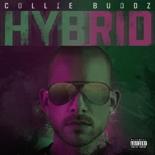 Collie Buddz - Everything Blessed