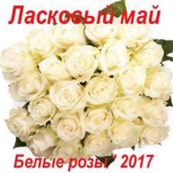 Ласковый май - Ну что же, ты