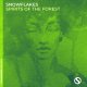 Snowflakes - Spirits of the Forest (Extended Mix)