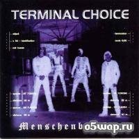 Terminal Choice - Eiszeit