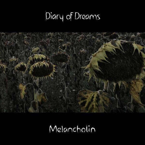 Diary Of Dreams - Welt aus Porzellan