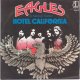 Eagles - Hotel California (KaktuZ Remix)