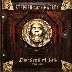 Stephen Marley - Father Of The Man feat. Wyclef Jean