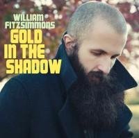 William Fitzsimmons - Bird of Winter Prey