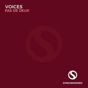 VoIces - Pas De Deux (Original Mix)