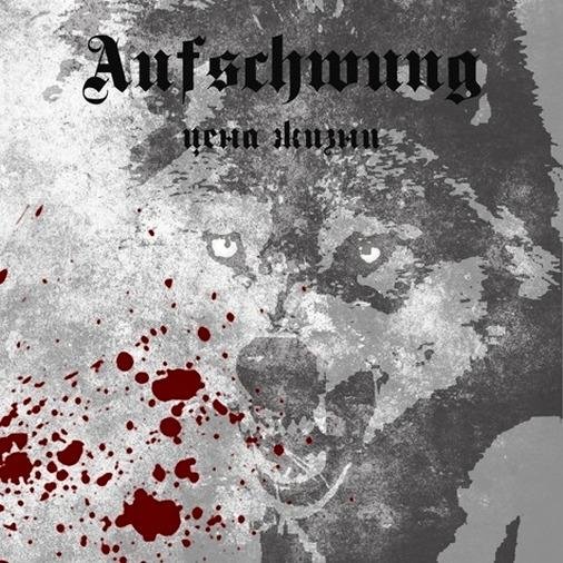 Aufschwung - Молний Мечи