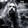 Rob Zombie - The Lords of Salem