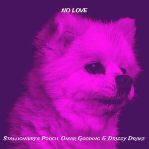 Stallionaires Pooch/Omar Gooding/Drake - No Love