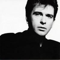 Peter Gabriel - Shock The Monkey