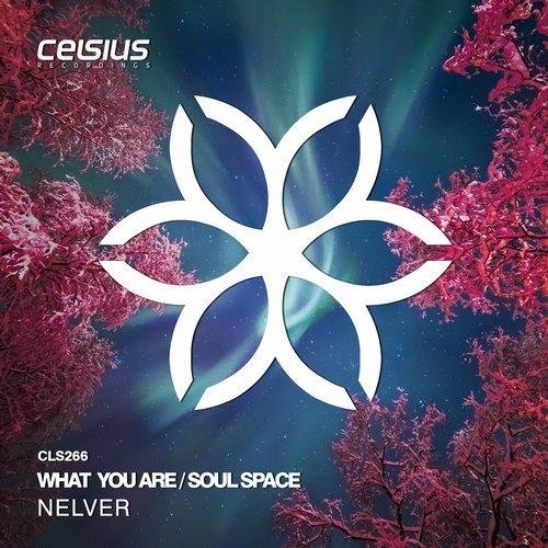 Nelver - Soul Space (Original Mix)