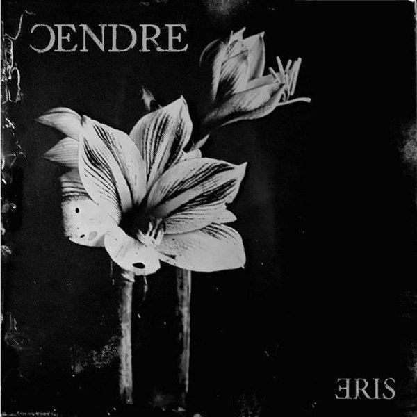 Cendre - Interlude