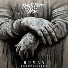 Rag'n'Bone Man - Human (Rudimental Remix)