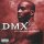 DMX - Hows it goin down