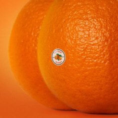 Emotional Oranges - West Coast Love