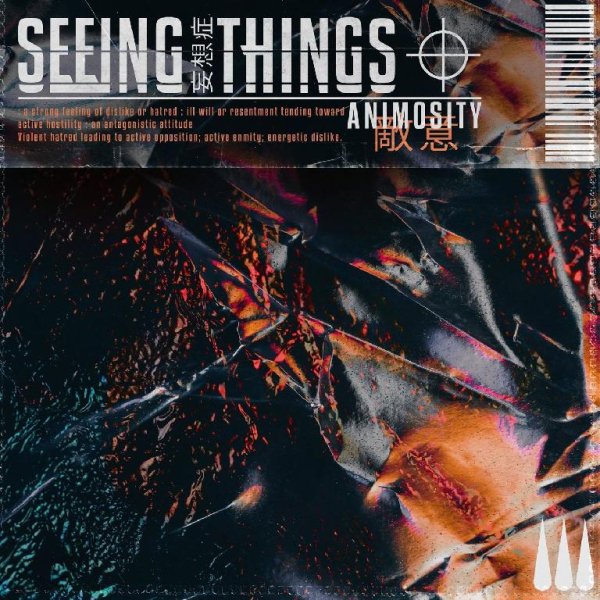 Seeing Things - Animosity