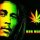 Bob Marley - Is This Love