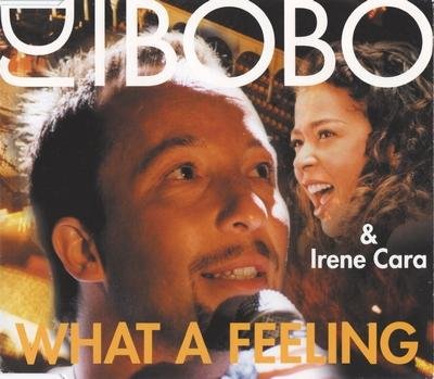 DJ BoBo & Irene Cara - Man In The Mirror (Album Version)