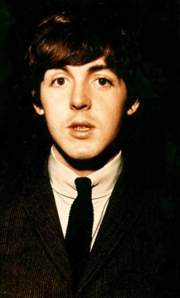 Paul McCartney - Monkberry Moon Delight