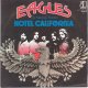 Eagles - Hotel California (KaktuZ Remix)