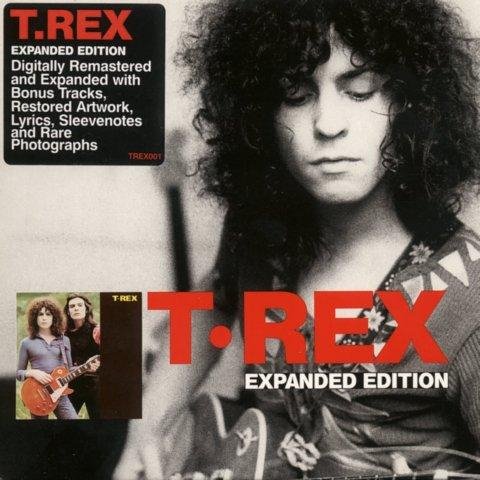 T. Rex - Seagull Woman 