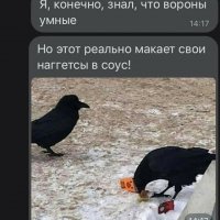 Ненуачо?