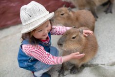 Capybara and kid 1