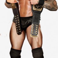 randy orton 2014 by the rocker 69-d6wy4c