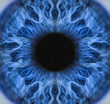 eye