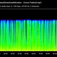 Avalon - Ozora Festival.mp3