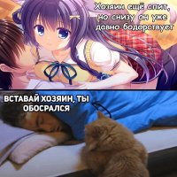 Anime-разное-4617741