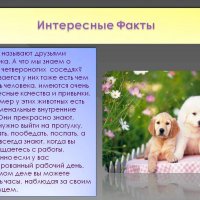 Интересные факты