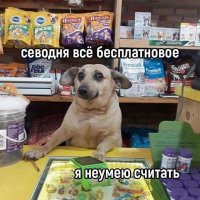 Продавальник