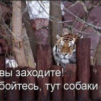 Небойтесь собаки нету я ее сьел