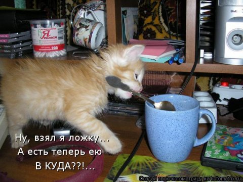 (В куда??!..)