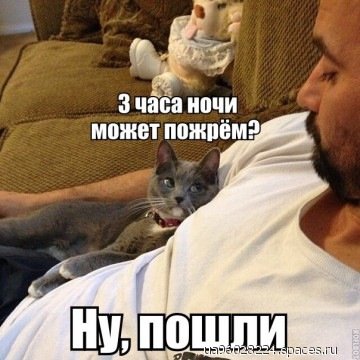 157026123.p.0.360.0-spaces.ru