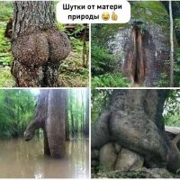 шутки