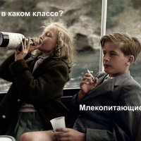 Ты в каком классе?...