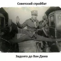 Ван дам