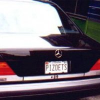 car plate PIZDETS