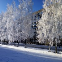 16. Десногорск! Зима! 08.01.2024